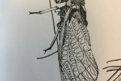 Cicada sketch by Millie
