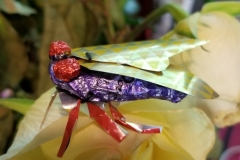 Recycled cicada by Melissa