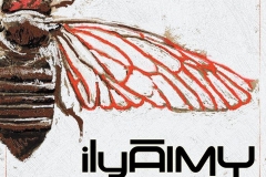 cicada ilyaimy