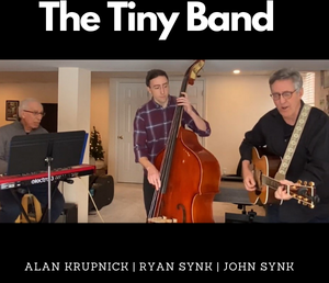 The Tiny Band concert