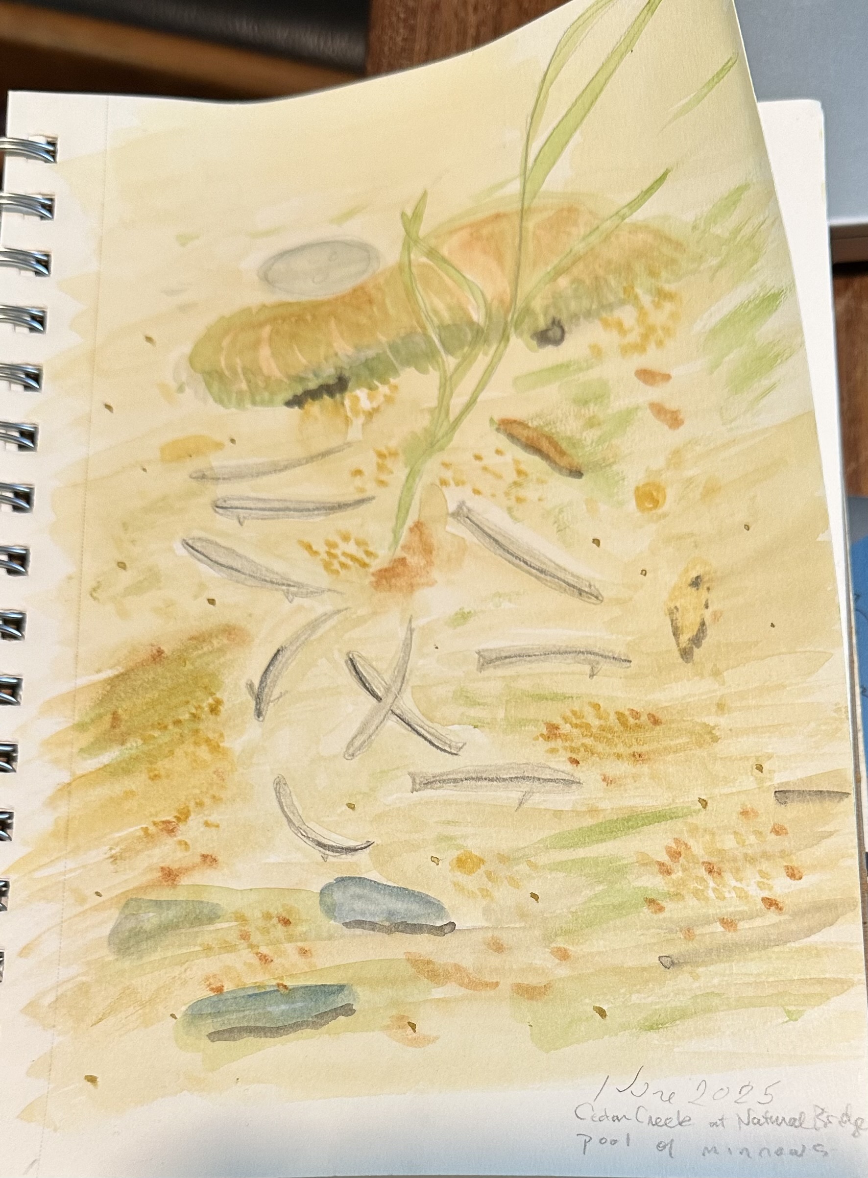 June 30×30 Art Month! June 30×30 Art Month!