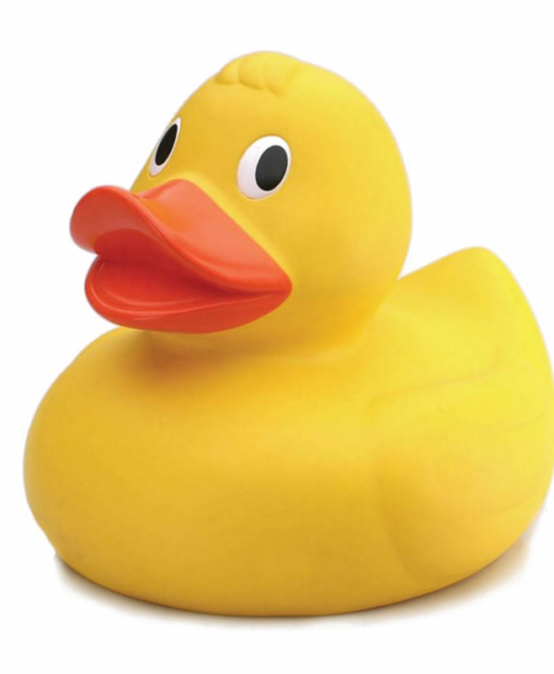Can-ducky Derby