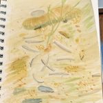 June 30×30 Art Month!